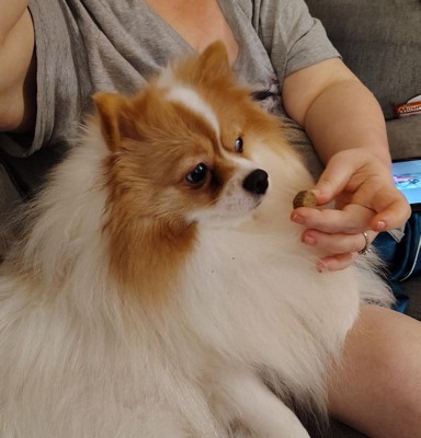 Guest review image 1 of 2, zoom in