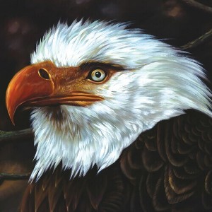 Mogwai - Hawk Is Howling (CD) - 1 of 1