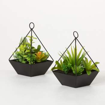 Succulent gift box - 3 ceramic pot – Tucculents