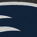 new england patriots