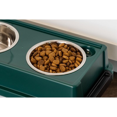 Green Elevated Dog Feeder with Airtight Storage and Stainless Steel Bowls