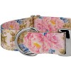 Country Brook Petz 1 1/2 Inch Premium Dog Collar Spring Collection - 4 of 4