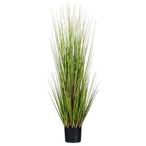 Green/Burgundy Flax Grass Potted - 1 of 4
