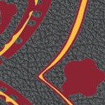 minnesota golden gophers