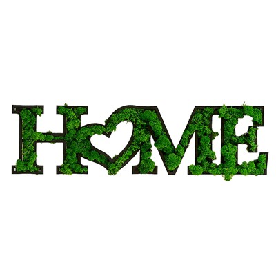 VisioGear HOME Letter Art Moss Wall Decor for Hallway Office Wall Decor, Green, 31.5"*8.5"*1.58"