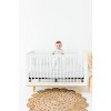 Ely's & Co. Baby Fitted Crib Sheet 100% Combed Jersey Cotton for Baby Boy 2 Pack - 3 of 4