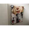 Dawhud Direct 30" x 60" Funny Cat and Dog Beach Towel - 3 of 4