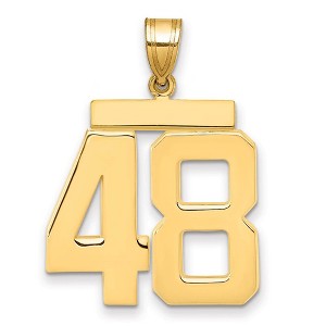 Black Bow Jewelry 14k Yellow Gold, Athletic Collection, Large Polished Number 48 Pendant - 1 of 3