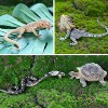 TEMI 12-Piece Reptile & Amphibian Animal Figurines Set, Realistic Lizard, Snake & Chameleon Toys for Desert Theme Party Favors - 2 of 4