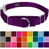 Country Brook Petz Heavyduty Nylon Martingale with Premium Buckle - 3 of 4
