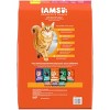 IAMS Proactive Health with Salmon Adult Premium Dry Cat Food - 2 of 4