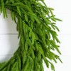 Nearly Natural 24" Pre-Lit Artificial Real Touch Norfolk Island Pine Wreath with 50 Warm White LED Lights - 3 of 4