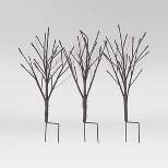 3pc Indoor/Outdoor Branches LED Pathway Lights - Smith & Hawken™