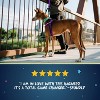 2 Hounds Design Freedom No Pull Adjustable Dog Harness | Comfortable Control for Easy Walking | Made in USA | Solid Colors | 1" LG Burgundy - 4 of 4