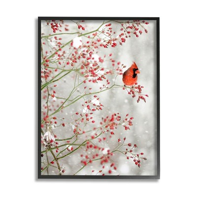 Stupell Industries Cardinal Seasonal Holly Berries Framed Giclee Art
