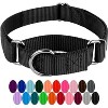 Country Brook Design Martingale Heavyduty Nylon Dog Collar - 4 of 4