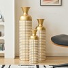 GDFStudio Gara Glam 3 Piece Golden Decorative Vases - 2 of 4