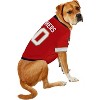 NHL Florida Panthers Pets Jersey  - 4 of 4