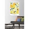 Trends International Reinders: Fruit Market - Limoncello Unframed Wall Poster Print Clear Push Pins Bundle 22.375" x 34" - 2 of 4
