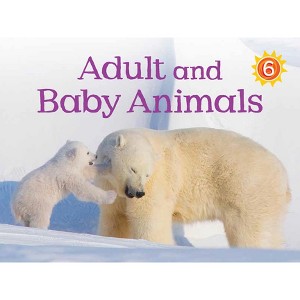 Adult and Baby Animals - (Nunavummi Reading) by  Kelly Ward-Wills (Paperback) - 1 of 1