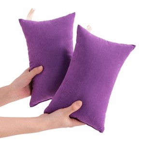 2 Pack Microfiber Toddler Pillows, Soft Down Alternative Travel Pillows - NTBAY - 1 of 4