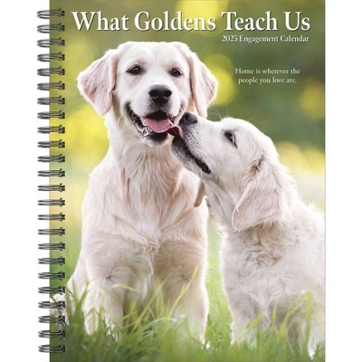 Willow Creek Press What Goldens Teach Us 2025 Engagement Calendar: Weekly Planner, Spiral Binding, 6.5x8.525", Blue