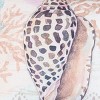 C&F Home 18" x 18" Brown Conch Shell w/ Seahorse & Coral Indoor/Outdoor Throw Pillow - 3 of 3