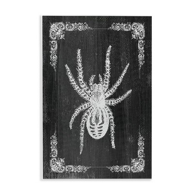 Stupell Industries Black & White Spider Wall Plaque Art