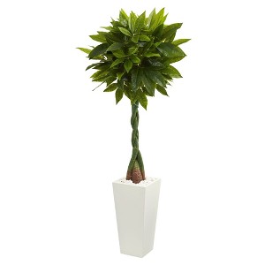 Nearly Natural 5.5-ft Money Artificial Tree in White Tower Planter (Real Touch) - 1 of 1