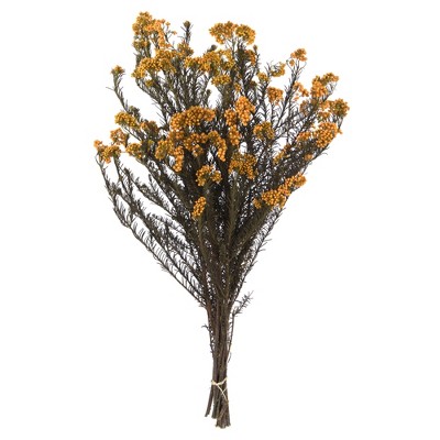 Vickerman 16" Rice Flower, 4.25oz Preserved