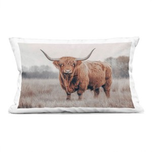 Stupell Industries Center Of Attention Cattle Indoor Decorative Throw Pillow, 14 x 20 - 1 of 3