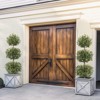 5FT Artificial Olive Triple Ball Topiary Trees with Moss & Inner Pot - 3 of 4