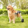 VEVOR 2 Wheels Dog Wheelchair for Back Legs, Pet Wheelchair Lightweight & Adjustable Assisting in Healing,  Dog Cart/Wheelchair (L) - 2 of 4