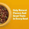 Pedigree with Tender Bites Chicken & Steak Flavor Adult Complete & Balanced Dry Dog Food - 14lbs - 2 of 4