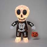 Light Up Skeleton Trick-or-Treater Halloween Novelty Sculpture Light - Hyde & EEK! Boutique™