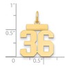 Black Bow Jewelry 14k Yellow Gold, Athletic Collection, Small Polished Number 36 Pendant - 2 of 3