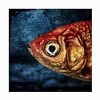 Trademark Fine Art - Piet Flour Isidor The Goldfish Matted Framed Art - 3 of 4