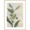 Amanti Art Salted Orchid Flower by Jacob Q Wood Framed Wall Art Print - 4 of 4