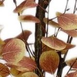 encryption 120cm include basin