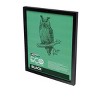 Ambiance Eco Frames - 4 Packs - Assorted Sizes and Colors - 2 of 4