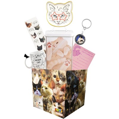 Toynk All About Cat's Themed Looksee Mystery Gift Box With 6 Cat Themed  Items : Target