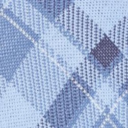 french blue plaid