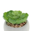 Unique Bargains Artificial Plants Plastic Green 2.95"x2.95"x2.76" 1Pc - 4 of 4