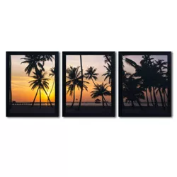 3pc Palm Dream by David Evans - Trademark Fine Art