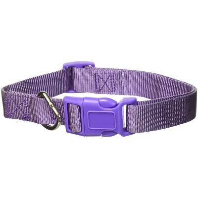 Casual Canine Nylon Dog Collars
