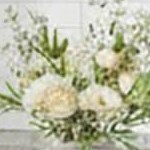 green & brown & black