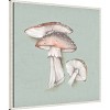 Amanti Art Amanita Mushrooms by Eli Jones Framed Wall Art Print - 2 of 4