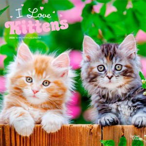 BrownTrout I Love Kittens 2026 12"x24" Hanging Square Wall Calendar Plastic-Free - 1 of 4