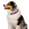 Country Brook Petz 1 1/2 Inch Martingale Dog Collar - Floral Collection with 6 Charming Designs - 2 of 4