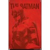 Trends International DC Comics The Batman - Photo Unframed Wall Poster Prints - 4 of 4